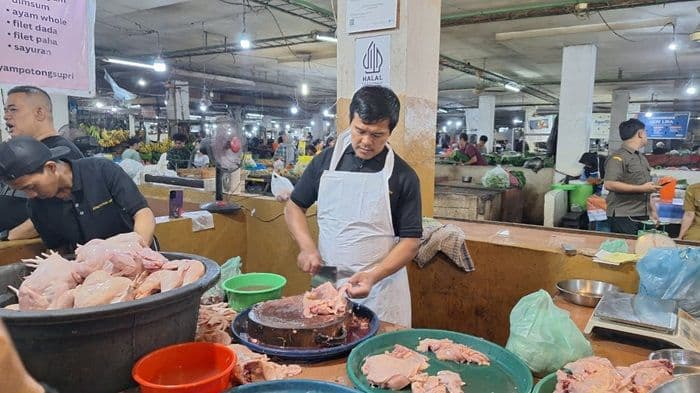 harga_daging_ayam_potong_di_medan_tembus_rp39_ribu_per_kilogram_pedagang_sebut_stok_menipis