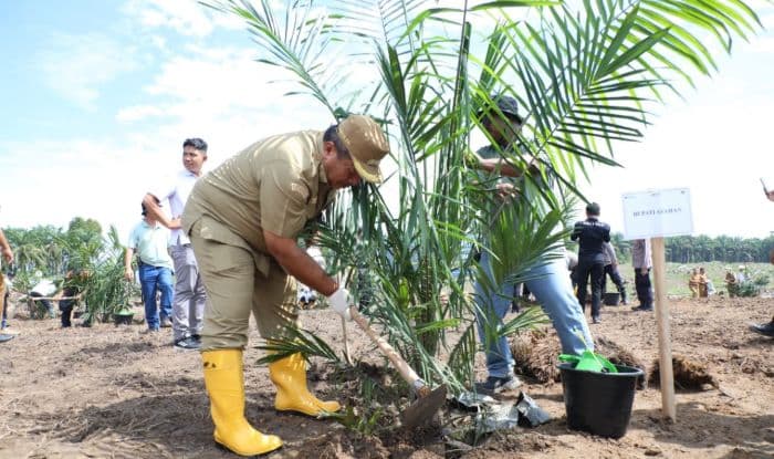 181_petani_ikuti_psr_di_asahan_86_hektare_lahan_disiapkan_untuk_padi_gogo_