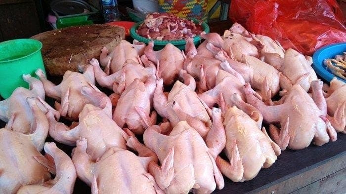harga_ayam_potong_di_deli_serdang_dan_sergai_bertahan_rp34000_per_kg_