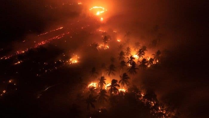 tiga_helikopter_jepang_tiba_10_september_untuk_bantu_penanganan_karhutla_di_indonesia_