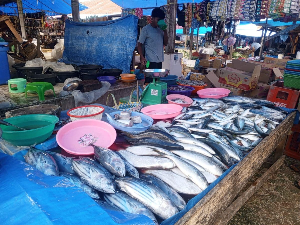 harga_ikan_kembung_di_pasar_balige_naik_jadi_rp65_ribu_per_kg_ibu_rumah_tangga_mengeluh