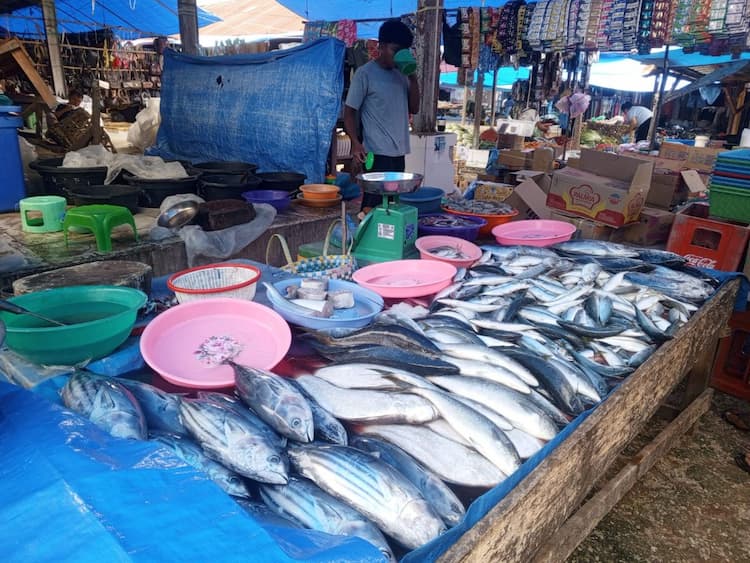 harga_ikan_kembung_di_pasar_balige_naik_jadi_rp65_ribu_per_kg_ibu_rumah_tangga_mengeluh