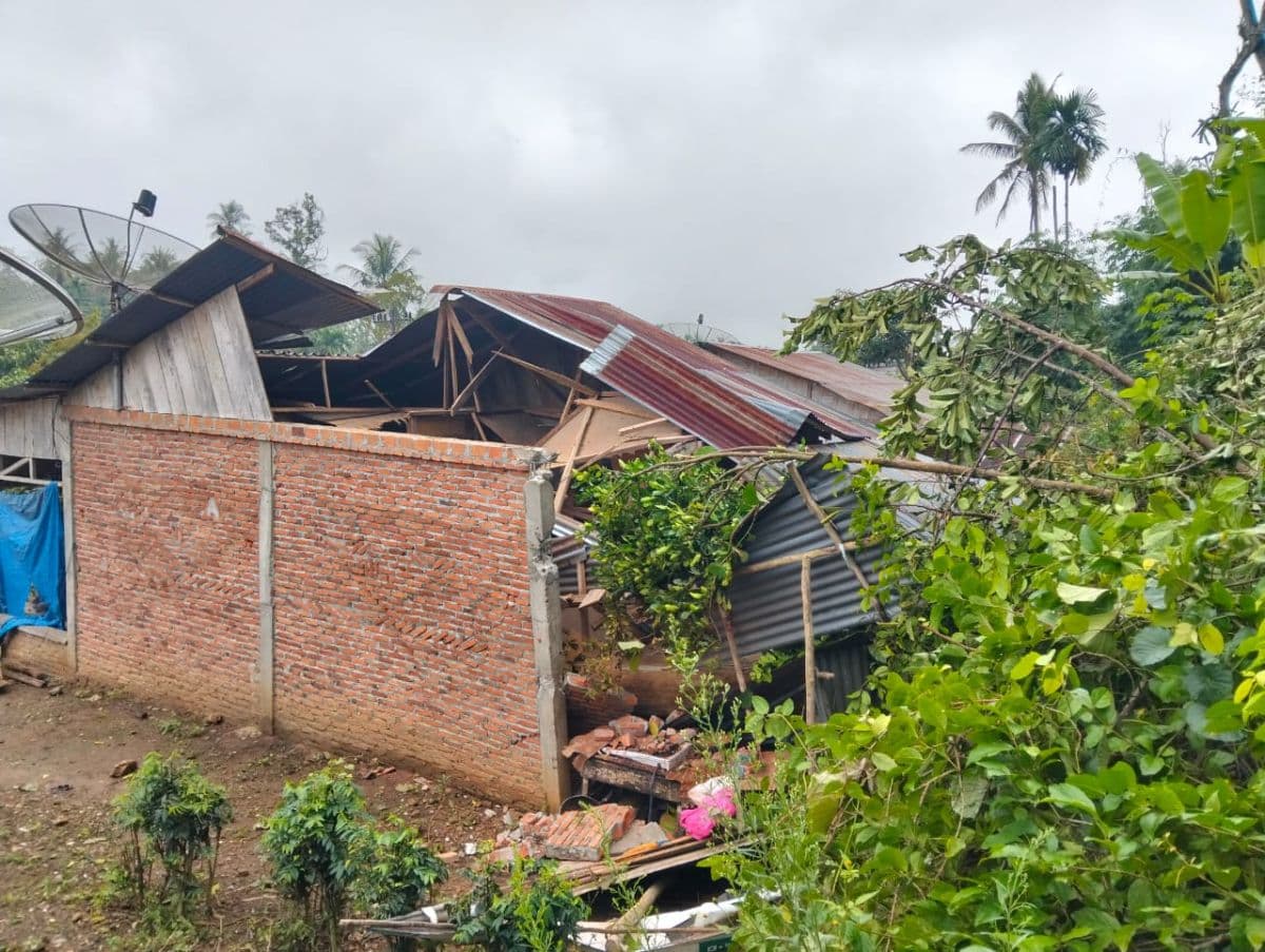 pohon_tumbang_timpa_rumah_di_dairi_nenek_85_tahun_tewas_dan_cucu_luka_berat