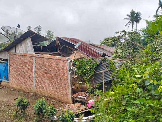 pohon_tumbang_timpa_rumah_di_dairi_nenek_85_tahun_tewas_dan_cucu_luka_berat