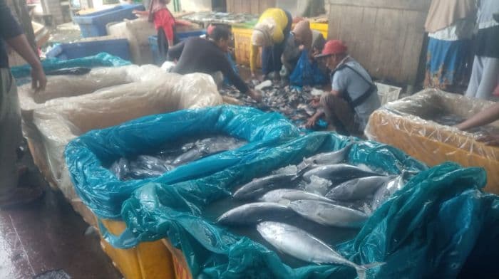 jelang_tahun_baru_2026_harga_ikan_di_tpi_tanjung_beringin_sergai_melonjak