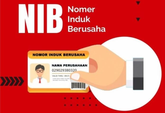10_juta_umkm_miliki_nib_dominasi_usaha_mikro