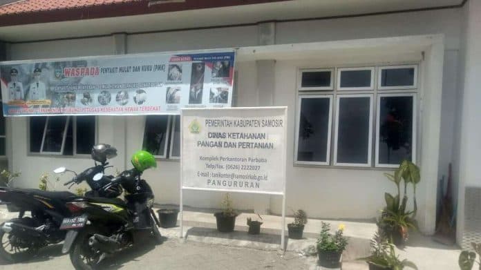 12_ribu_ekor_anjing_di_samosir_sudah_divaksin