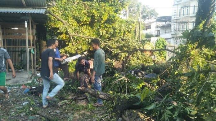 15_unit_sepeda_motor_tertimpa_pohon_tumbang_di_simpang_griya_medan