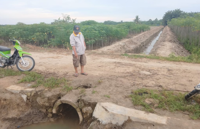 19_tahun_gorong_gorong_irigasi_tak_kunjung_diperbaiki_warga_tanah_jawa_mengeluh