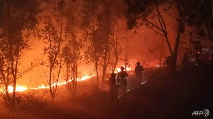 19_tewas_dalam_upaya_pemadaman_kebakaran_hutan_di_china