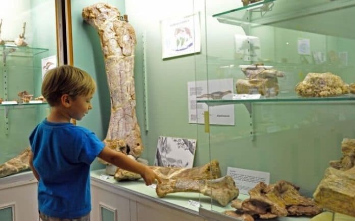 2_tahun_warga_prancis_tutupi_penemuan_fosil_dinosaurus_usia_70_tahun