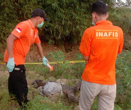 3_hari_tak_pulang_kakek_70_tahun_tewas_di_bantaran_sungai_ular