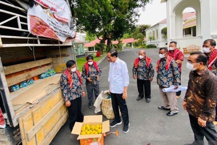 3_ton_jeruk_karo_untuk_jokowi_antara_simbol_minta_perhatian_dan_gratifikasi