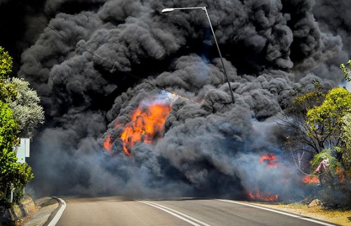 500_hektar_hutan_terbakar_dipicu_gelombang_panas_yunani_kewalahan