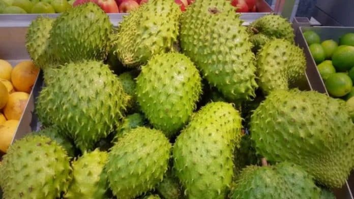 5_manfaat_buah_sirsak_yang_mungkin_terlewatkan