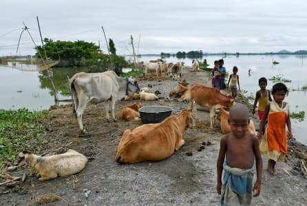 64_wni_yang_tertahan_di_india_dipulangkan_kjri