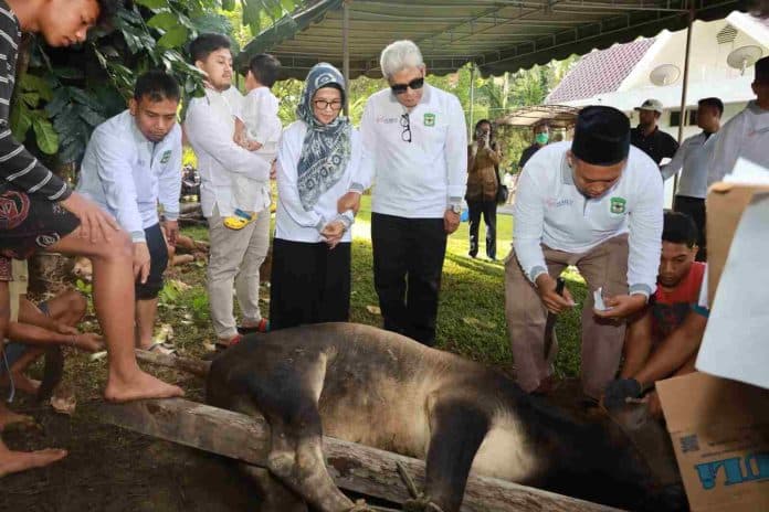 750_paket_daging_kurban_dibagikan_di_rumah_dinas_wali_kota_siantar