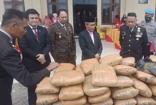 80_bal_ganja_kering_siap_edar_tanpa_pemilik_diamankan_polres_palas