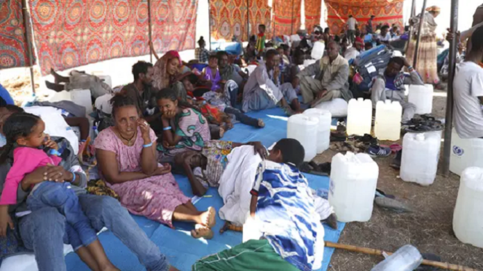 91_persen_warga_tigray_ethiopia_darurat_pangan