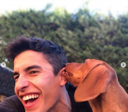 absen_jalani_balapan_motogp_marc_marquez_jadi_pengasuh_anjing