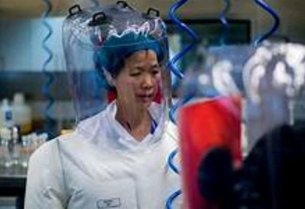 ahli_virologi_china_bantah_virus_corona_datang_dari_laboratorium_shi_zhengli_saya_bukan_pengkhianat