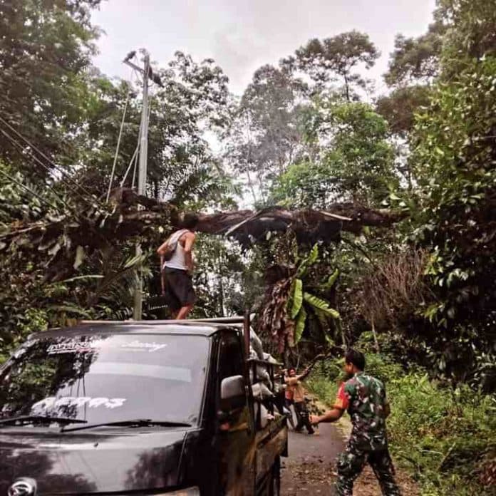 akibat_angin_pohon_tumbang_timpa_jaringan_pln_di_masundung