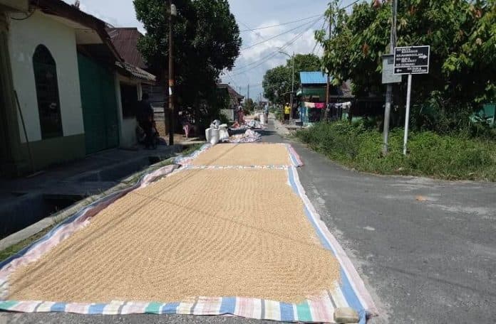 akses_pupuk_bersubsidi_sulit_dishanpangtan_ultimatum_kios_pupuk_di_siantar