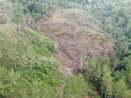 aktivis_desak_pemerintah_moratorium_penebangan_hutan_kawasan_danau_toba