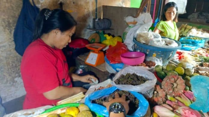 andaliman_bumbu_dapur_khas_batak_turun_harga_di_siantar