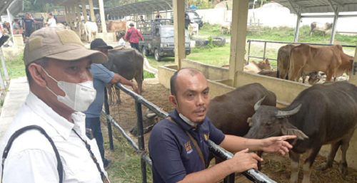 antisipasi_pmk_polres_tapsel_cek_pasar_hewan