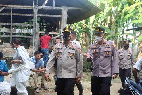 antisipasi_pmk_ternak_sapi_di_dolok_masihul_sergai_divaksin_lsd