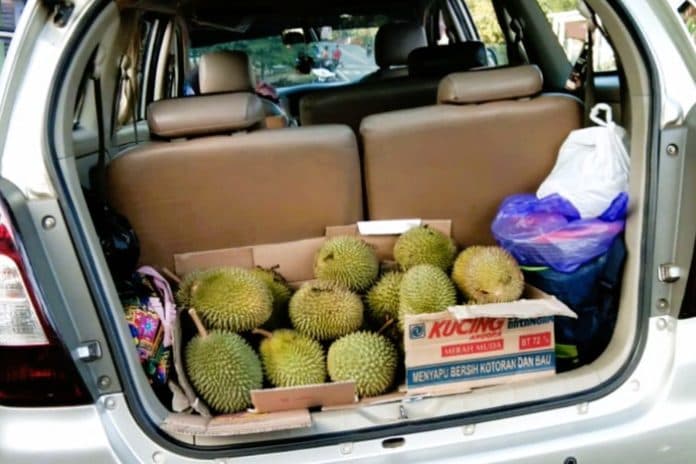 aroma_dari_makanan_ini_buat_ac_mobil_cepat_rusak