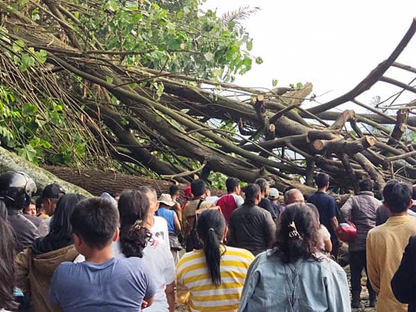 atasi_kemacetan_pasca_pohon_tumbang_polisi_berlakukan_buka_tutup_arus_lalu_lintas_parapat_siantar