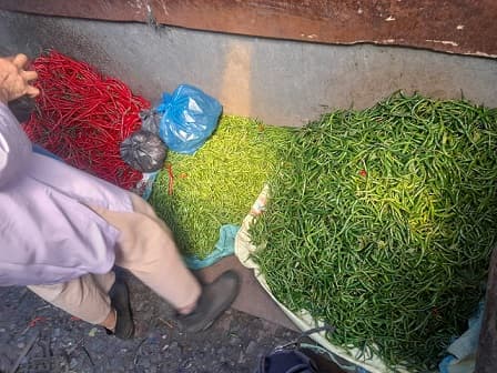 awal_tahun_harga_cabai_di_pematang_siantar_turun