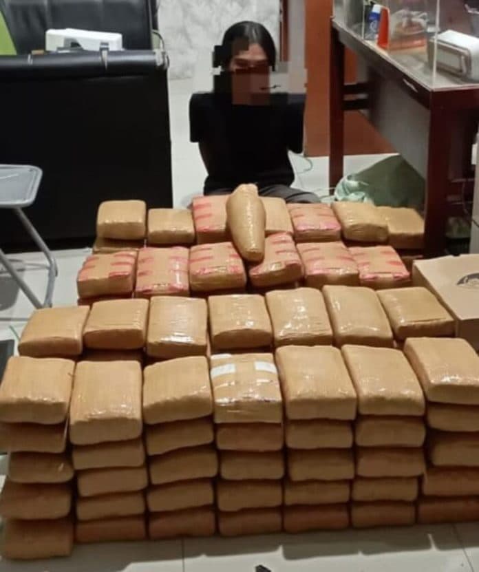 bawa_135_kg_ganja_kering_anak_di_bawah_umur_dan_mahasiswa_ditangkap_polda_sumut