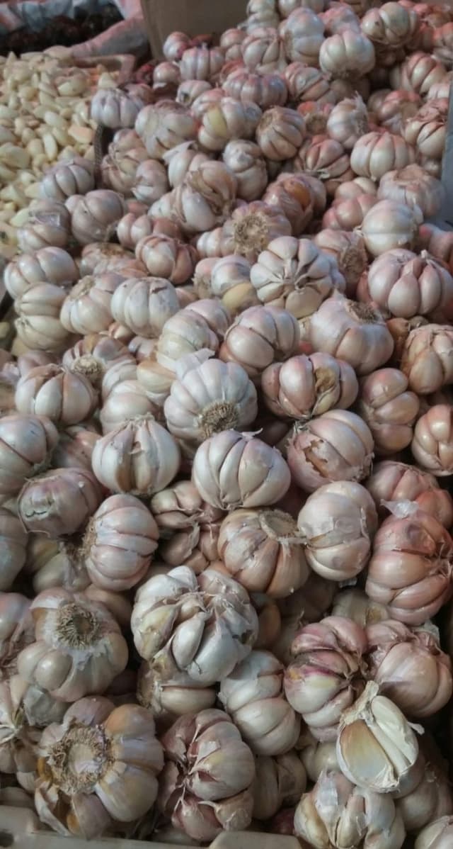 bawang_putih_sulit_didapat_bawang_bubuk_jadi_alternatif