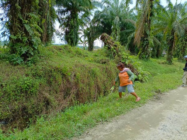 begal_sadis_beraksi_di_kampung_gunung_siantar_fortuner_raib_korban_berdarah_darah