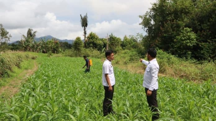bekali_keterampilan_wbp_lapas_narkotika_kelas_iia_pematangsiantar_dilibatkan_dalam_program_pertanian