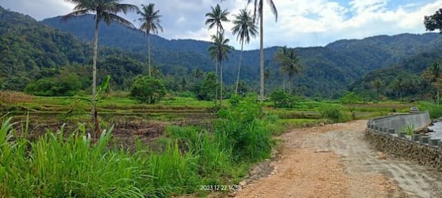 berkat_pt_dpm_warga_kembali_dapat_mengelola_lahan_sawah