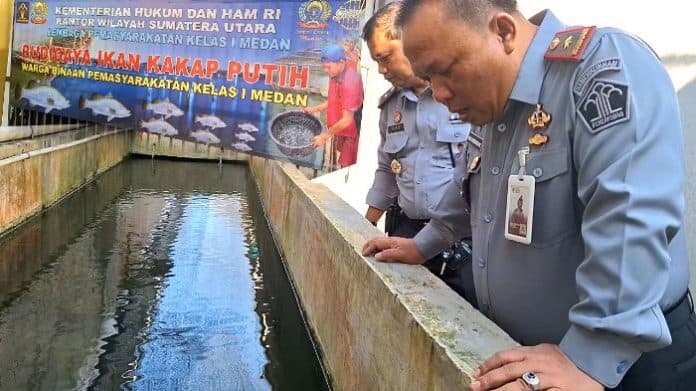 bina_keterampilan_warga_binaan_lapas_medan_budidaya_ikan_kakap_putih