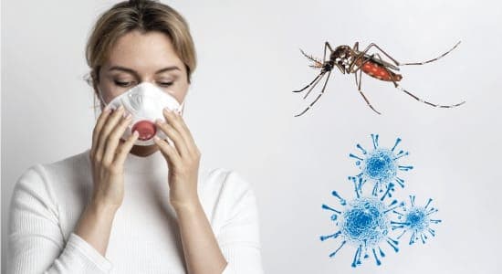 bisakah_nyamuk_membawa_virus_corona_inilah_yang_dikatakan_para_ahli