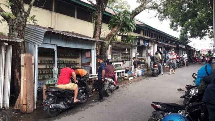 bisnis_ikan_cupang_makin_digandrungi_di_siantar