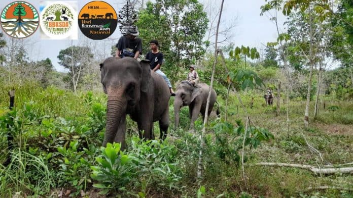 bksda_sumut_patroli_bersama_gajah_di_kawasan_twa_holiday_resort