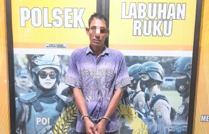 bongkar_rumah_guru_asn_pria_ini_diringkus_polsek_labuhan_ruku