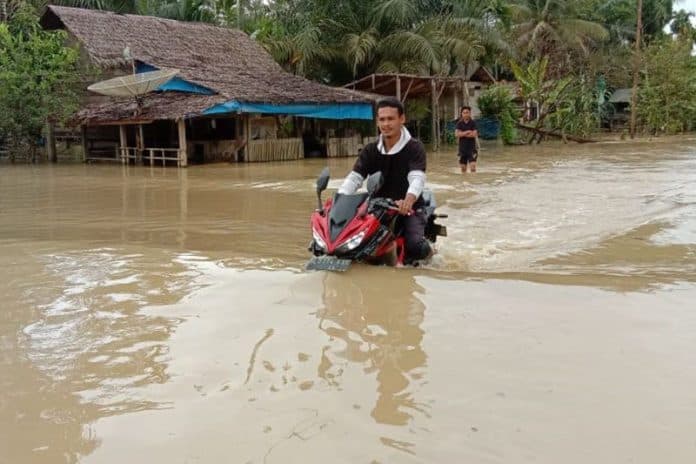 bpbd_156_rumah_masih_terendam_banjir_di_aceh_timur