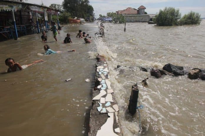 bpbd_sumut_sebut_banjir_rob_di_belawan_bencana_tahunan