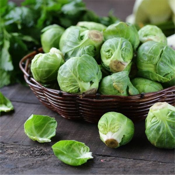 brokoli_dan_kubis_brussel_terbukti_bermanfaat_untuk_kesehatan_pembuluh_darah