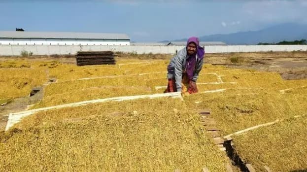 bukan_pengendalian_apti_sebut_polemik_rancangan_aturan_baru_rokok_mematikan_petani
