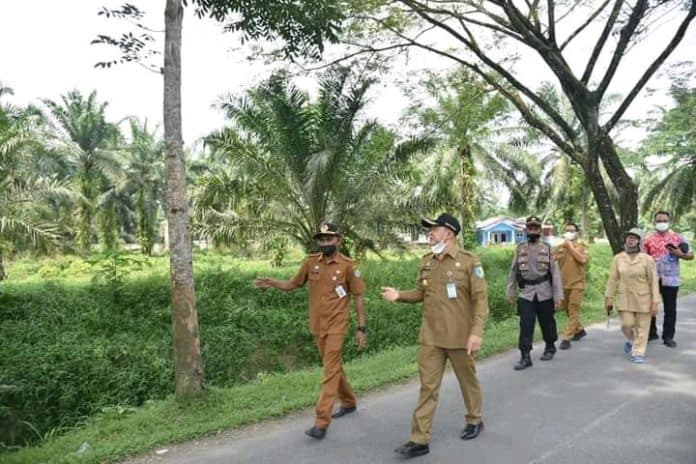 bupati_batu_bara_minta_pohon_dipinggir_jalan_diremajakan