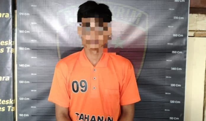 cabuli_siswi_smk_pria_dua_anak_ngaku_lajang_ditangkap_polres_taput